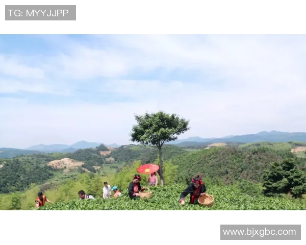 赵敏独家分享网球心得与技巧助你提升球技的秘密解析 赵敏独家分享网球心得与技巧助你提升球技的秘密解析