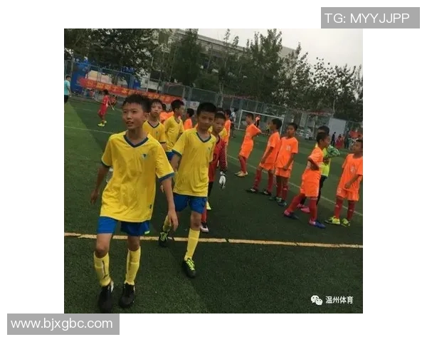 深圳足球队荣登灵活性排行榜第三名引发热议